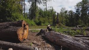 Mulching Services in Tecumseh, OK