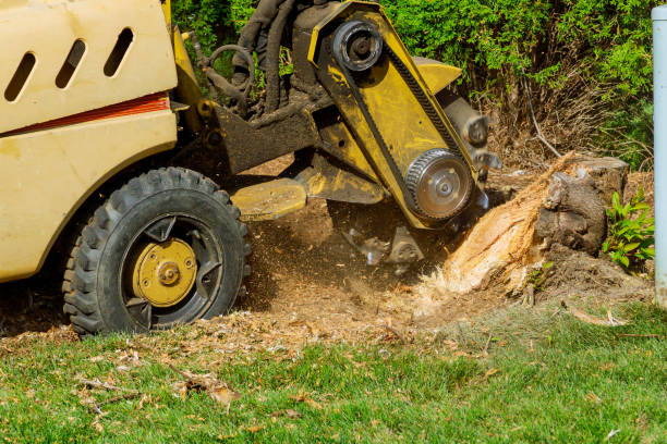 Best Lawn Irrigation Installation and Maintenance  in Tecumseh, OK